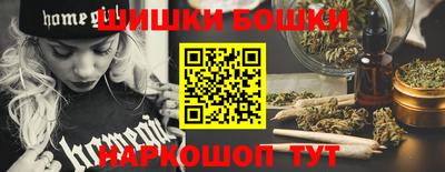 крисы Будённовск