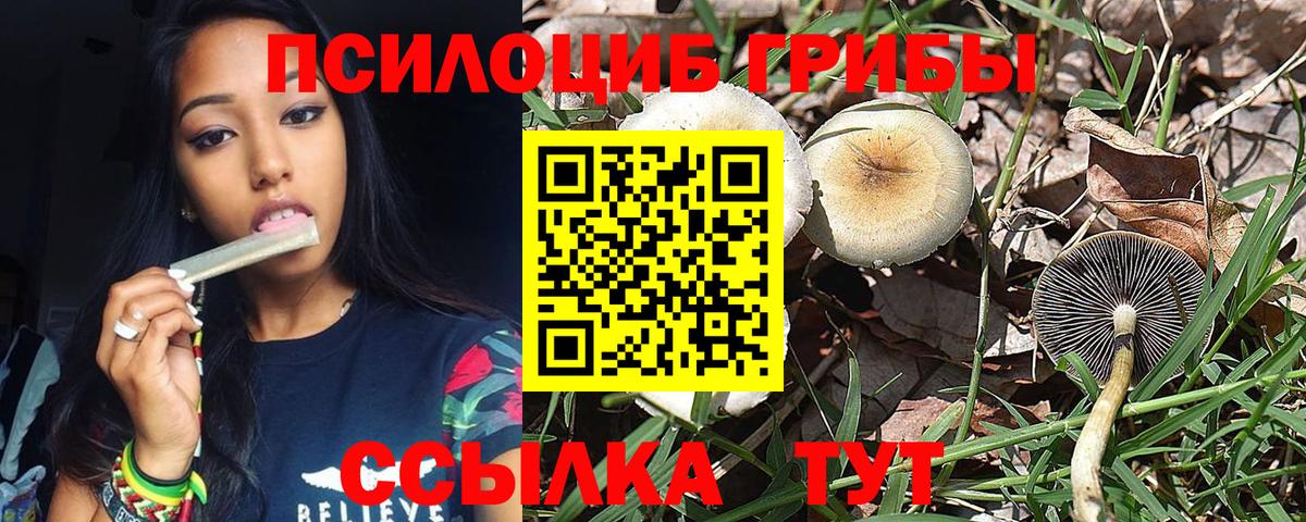 Псилоцибиновые грибы MAGIC MUSHROOMS Рузаевка