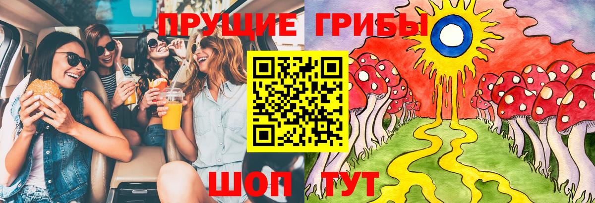 Рузаевка  Галлюциногенные грибы Psilocybe  Вход с VPN 
